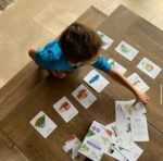 Flashcards