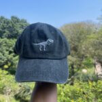 Gorra Far West Dino Color Plomo